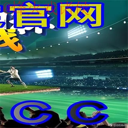 世界杯外围正规官方平台分析与指南